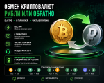 Torri Lonergan